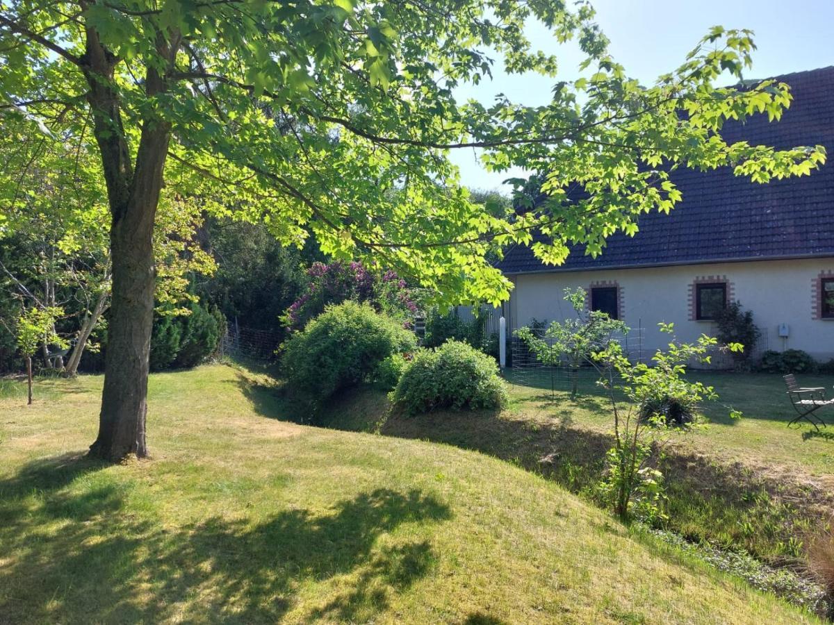 Klosterblick Bad Doberan Extérieur photo